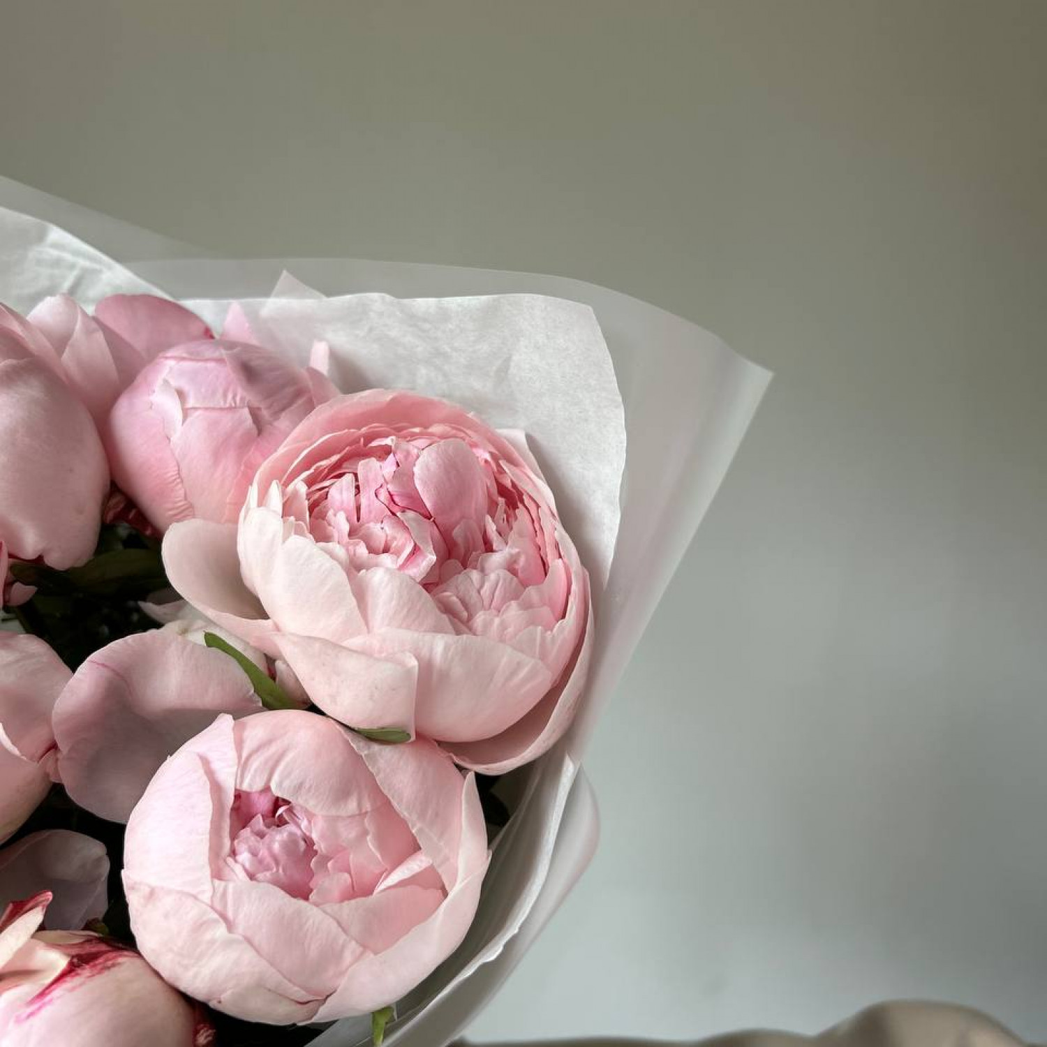 Монобукет из 9 розовых пионов