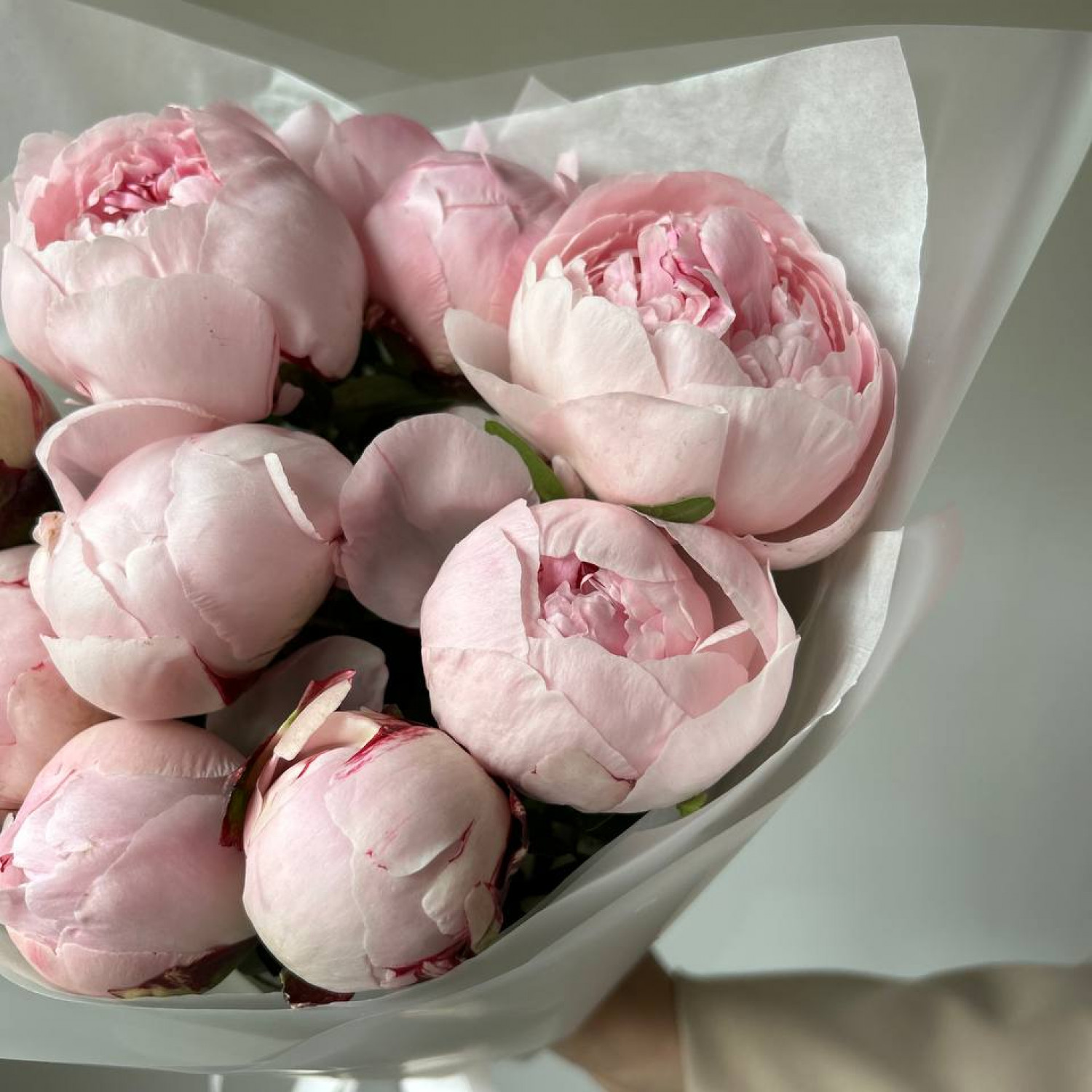 Монобукет из 9 розовых пионов