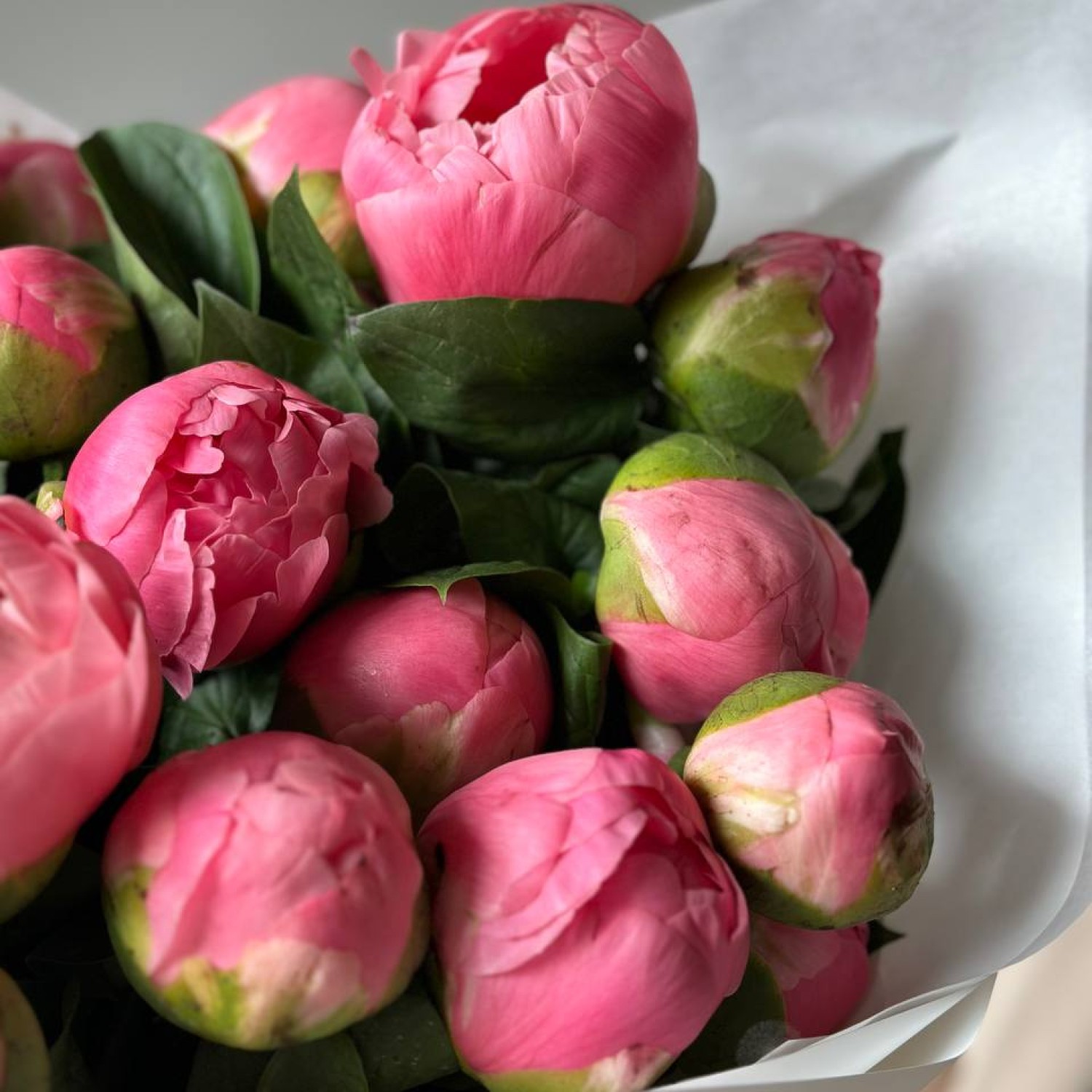 Монобукет из 21 пиона