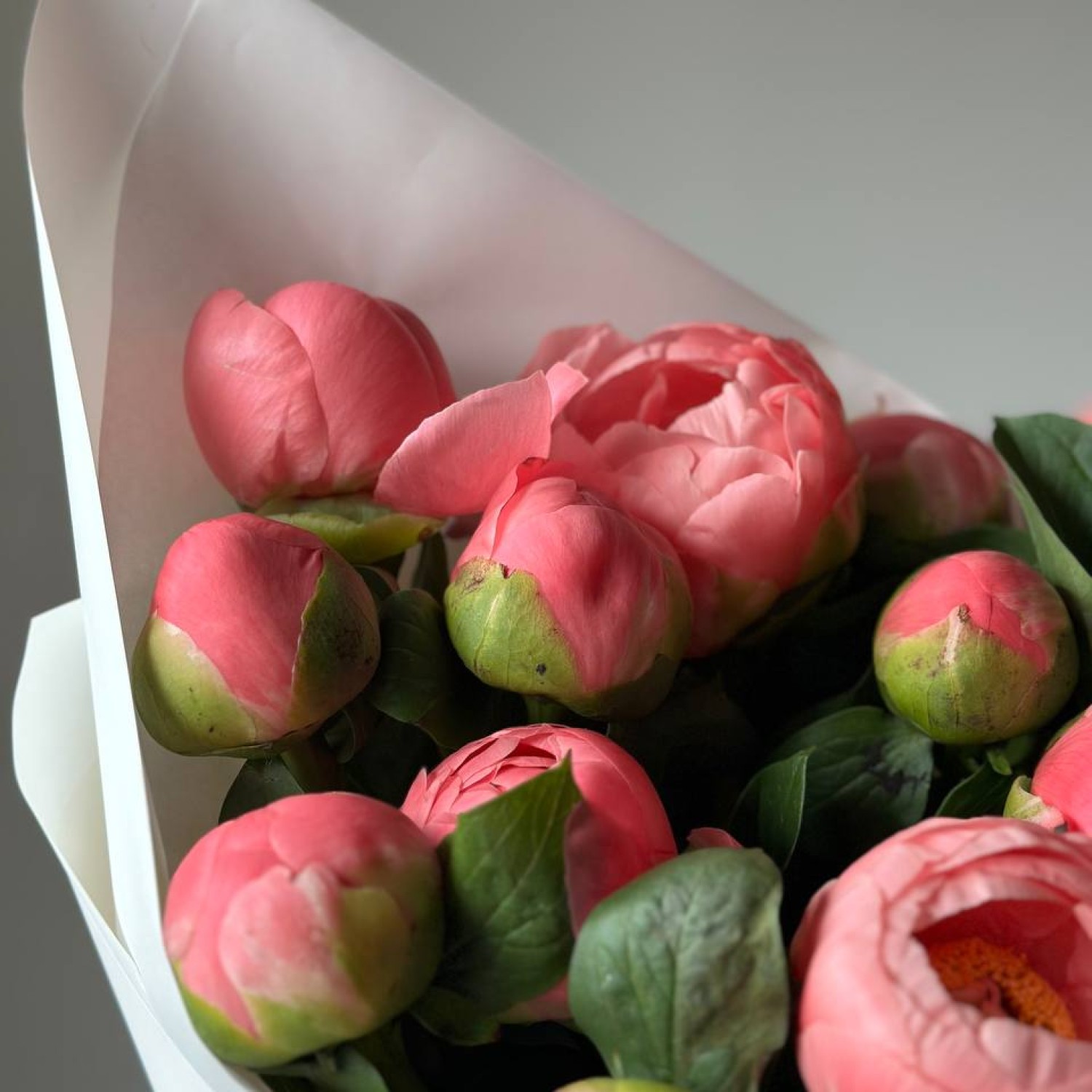 Монобукет из 21 пиона