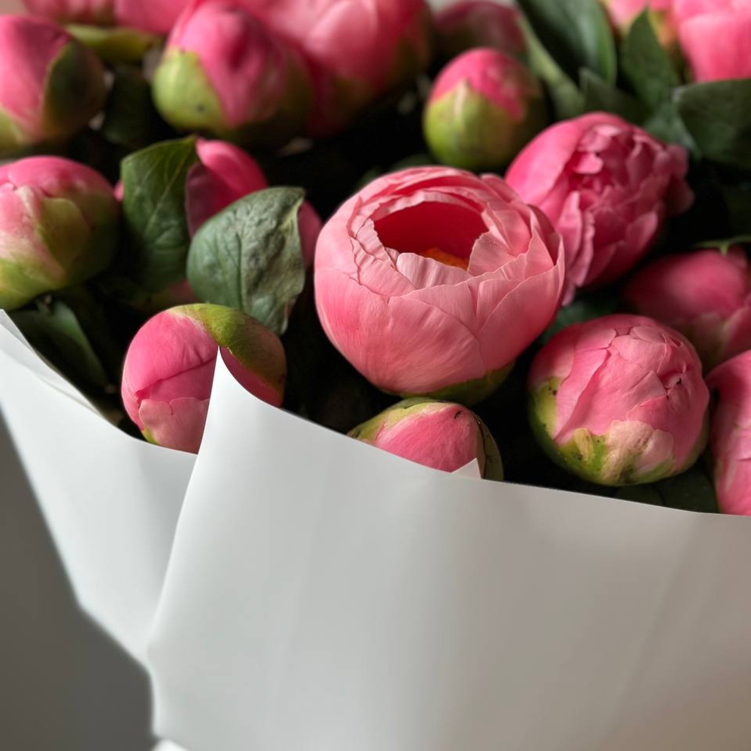 Монобукет из 21 пиона