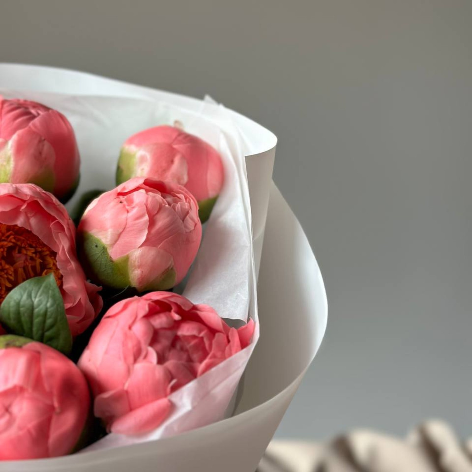 Монобукет из 9 пионов Салмон