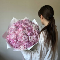 Монобукет из 35 розовых Пионов