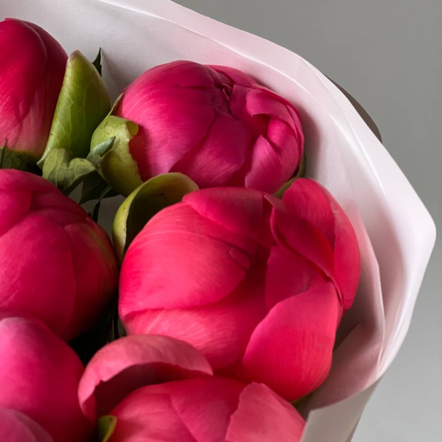 Монобукет из 9 пионов  Корал Шарм