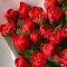 Монобукет из 25 красных пионовидных тюльпана