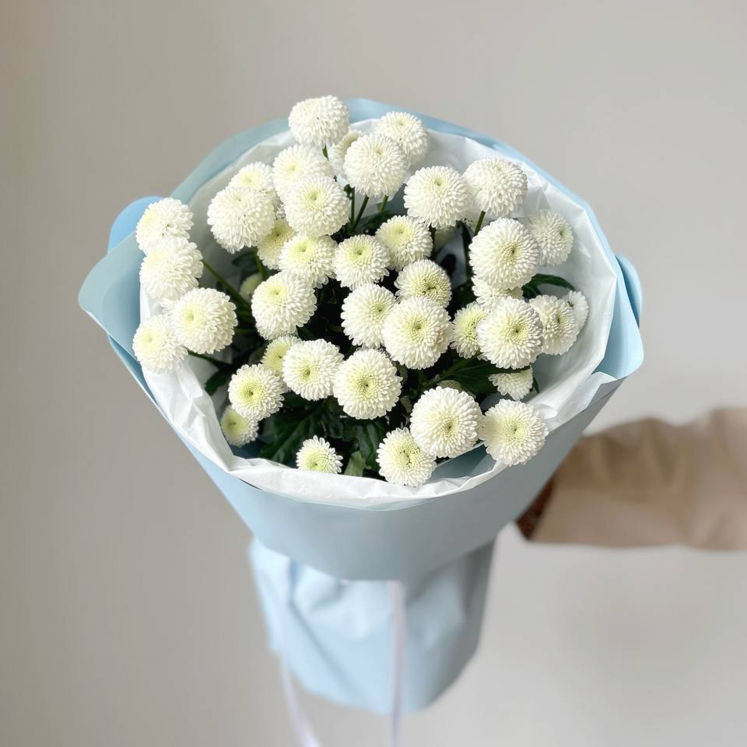 Монобукет из 5  кустовых хризантем Невтон №45