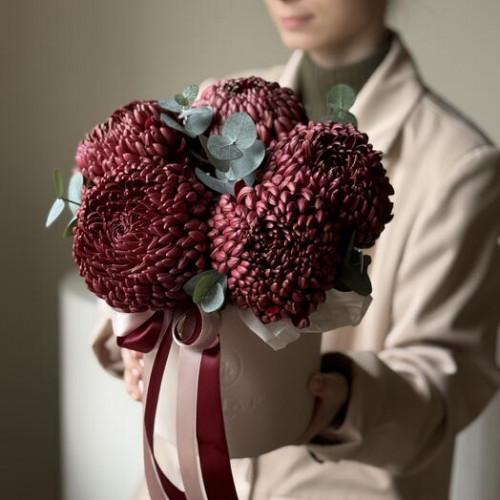 Композиция из 5 бордовых сезонных хризантем Бигуди 152