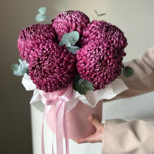 Композиция из 5 фиолетовых сезонных хризантем 153