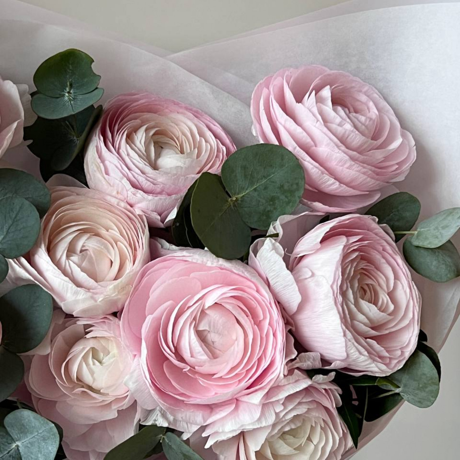 Монобукет из 7 Ранункулюсов