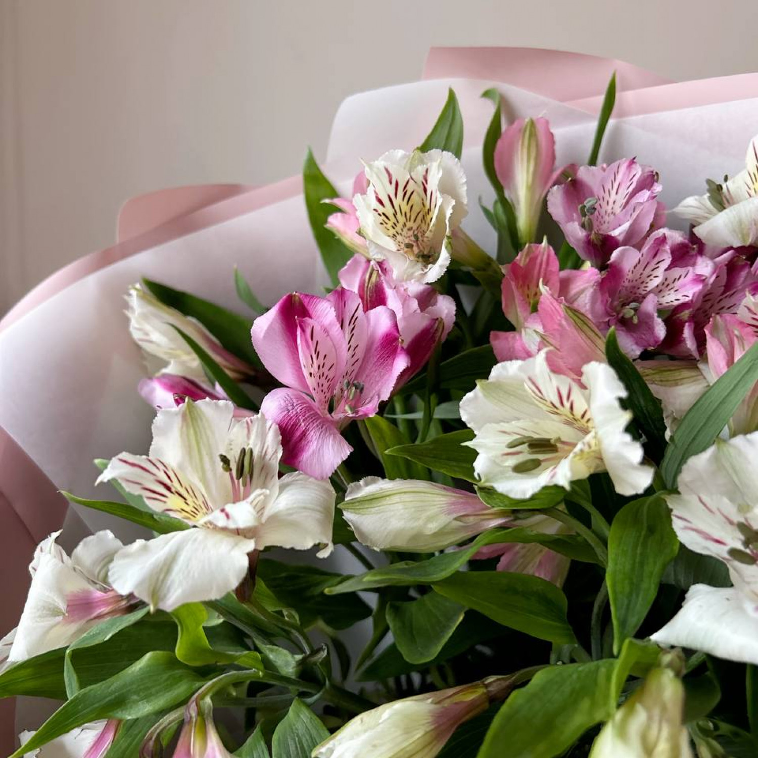 Монобукет из 11 Альстромерий микс