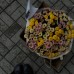 Букет из 25 хризантем Сантиний микс