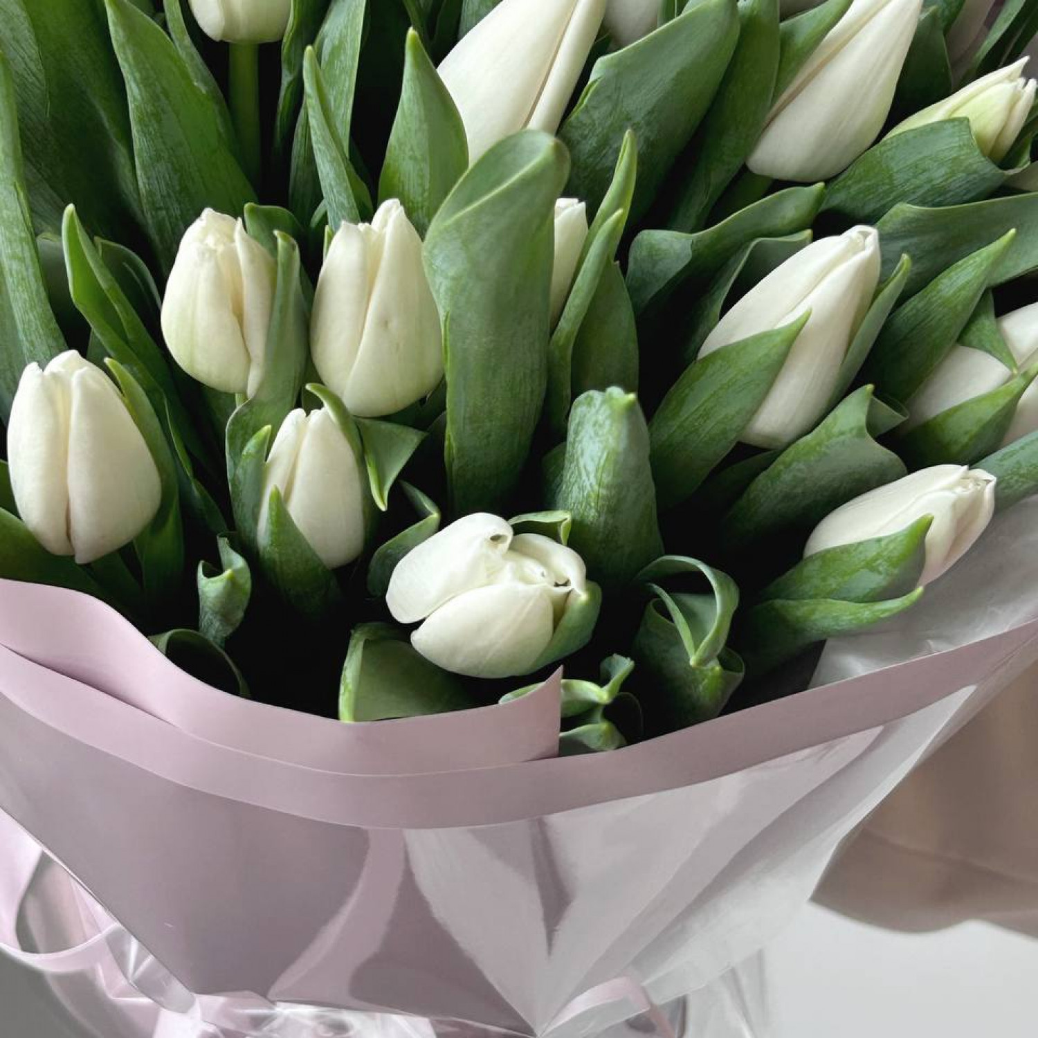 Монобукет из 25 белых тюльпанов №29