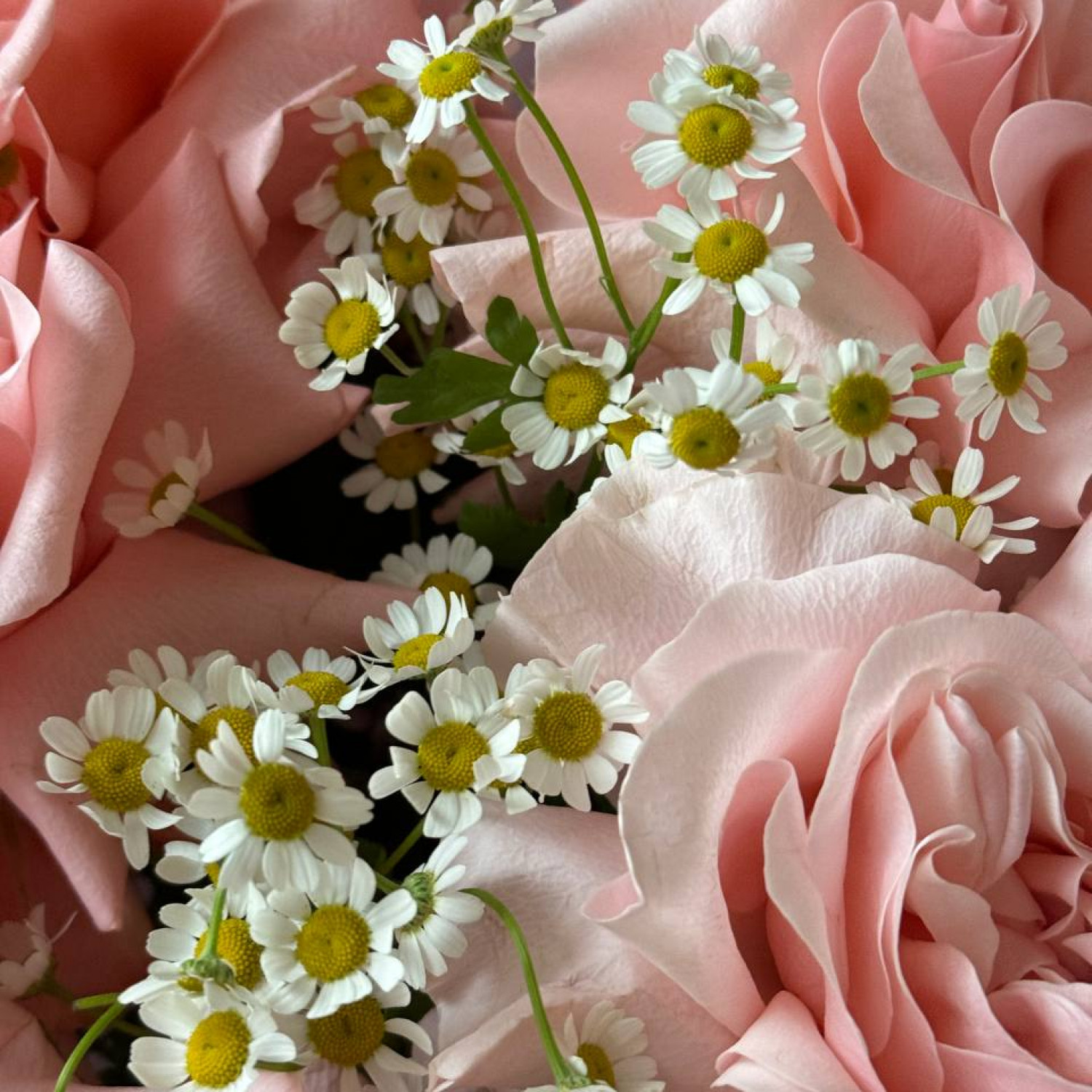 Букет из французских роз и ромашки №9