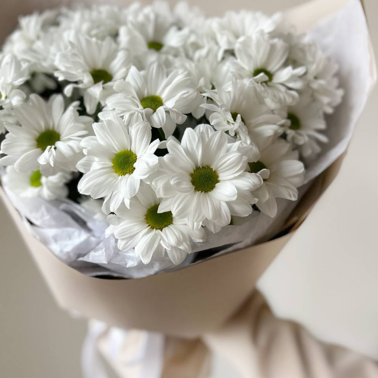 Букет из 5 кустовых хризантем Чик