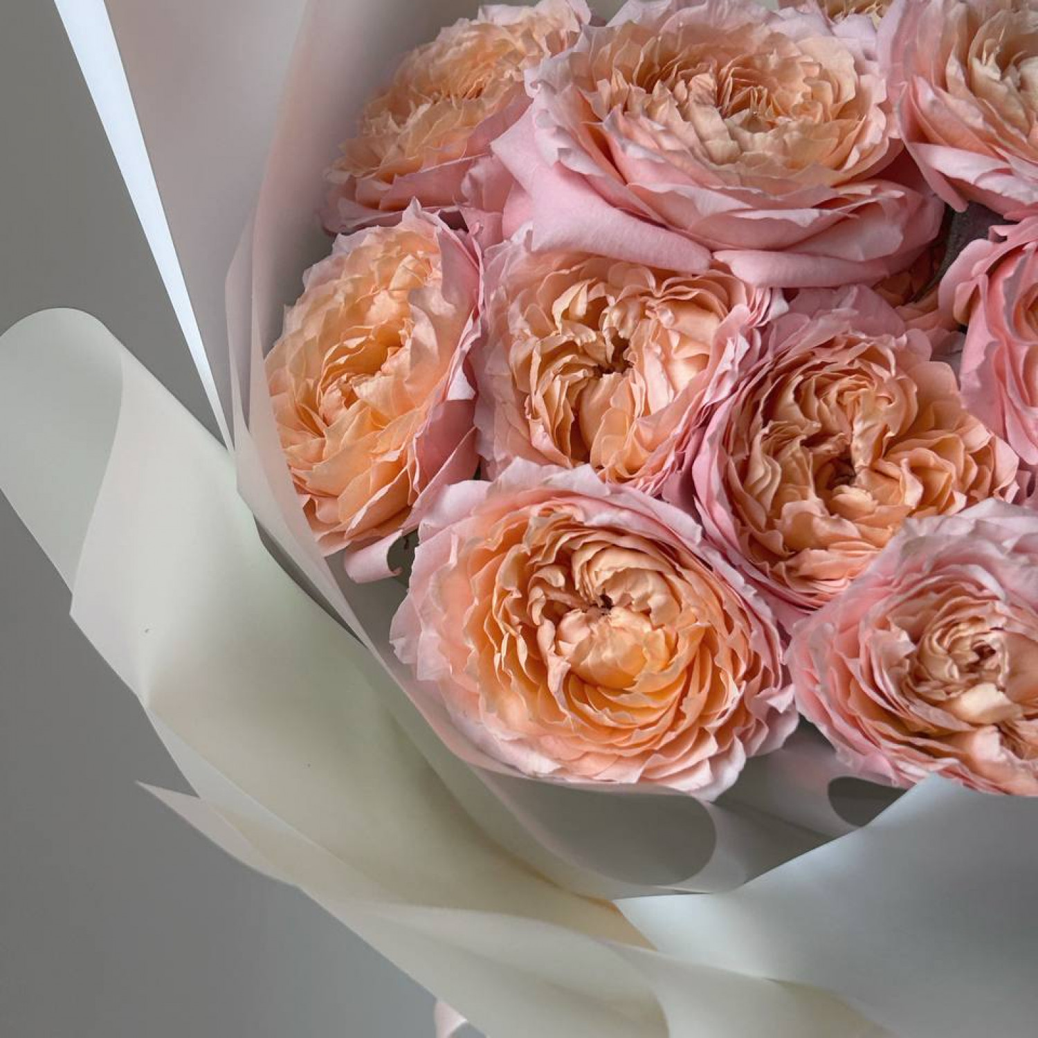 Монобукет из 5 кустовых пионовидных роз Джульетта №17