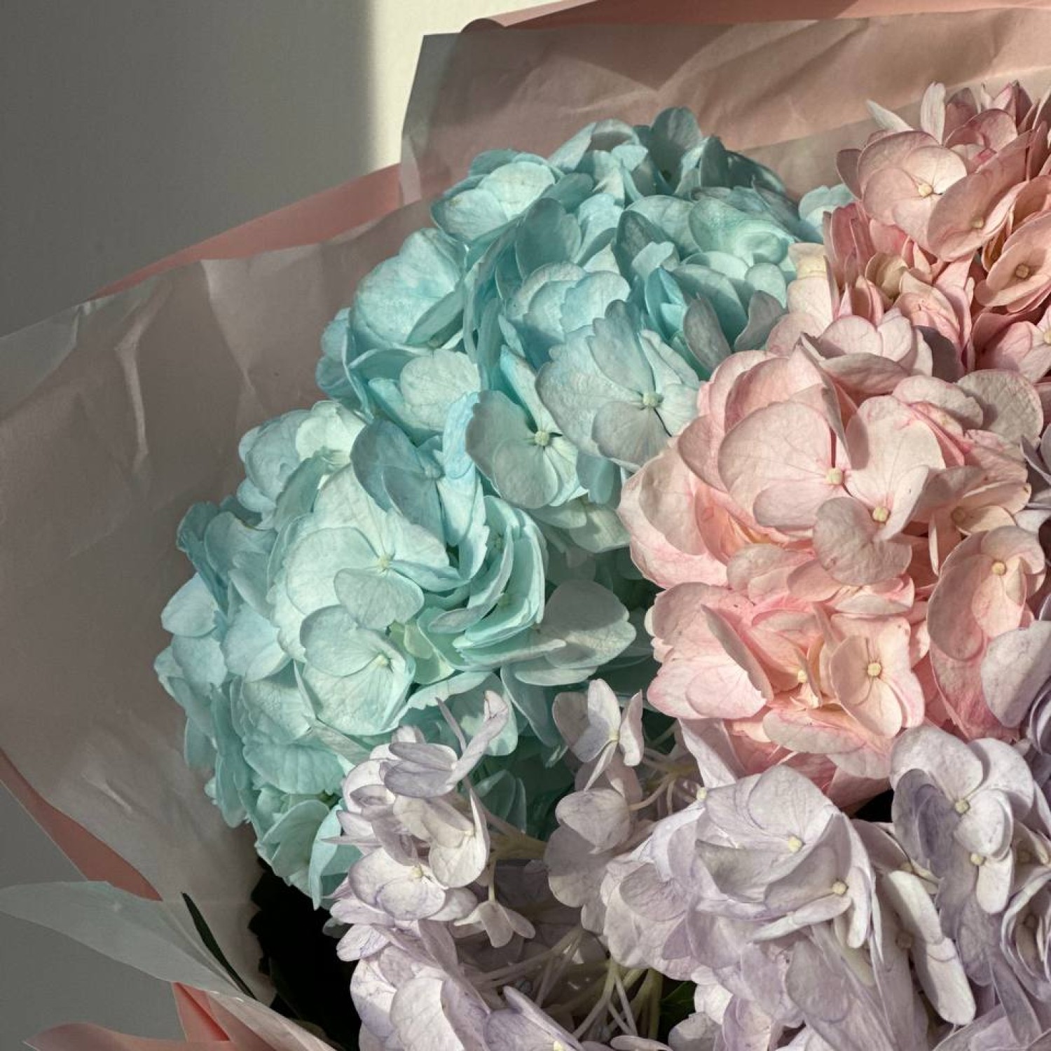 Монобукет из Гортензий микс